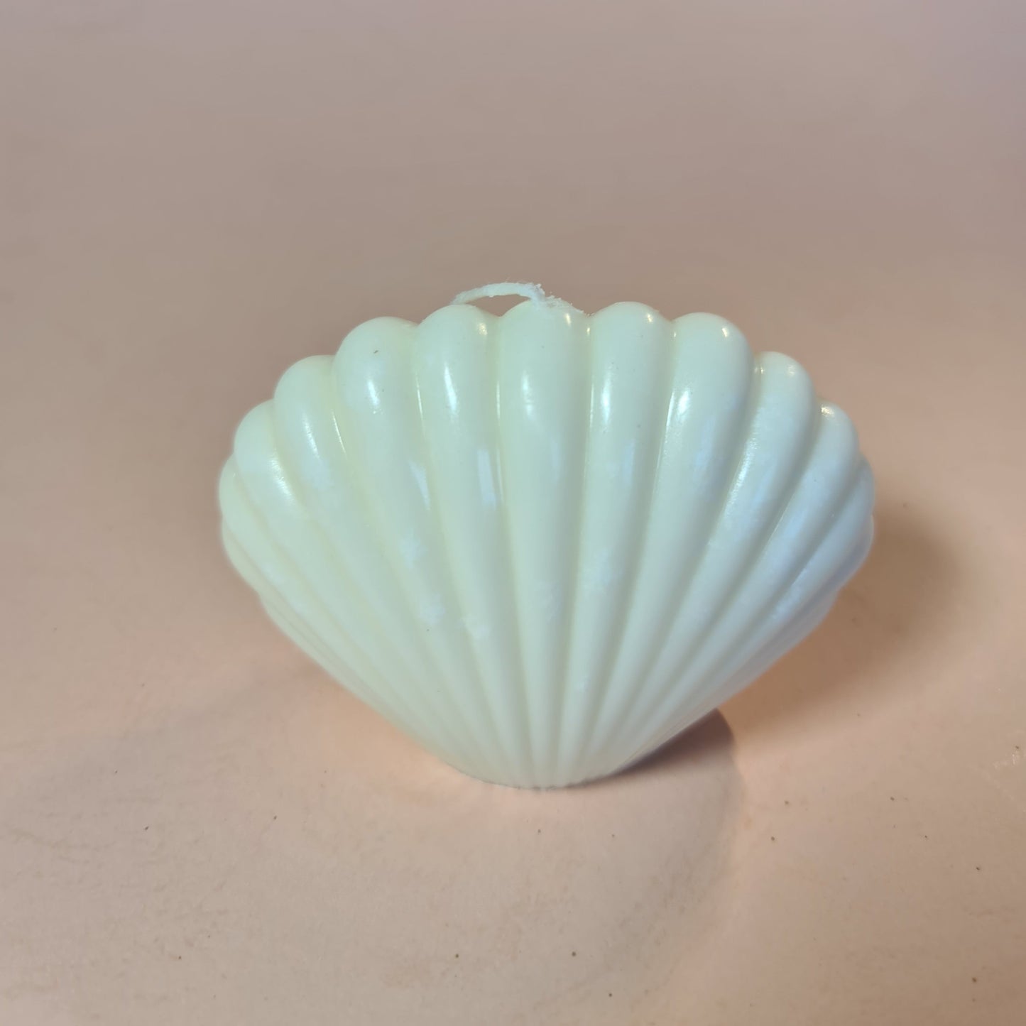 Shell candle